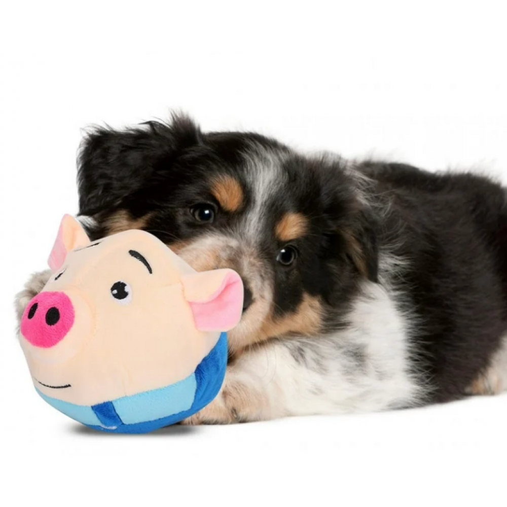 Pelota De Juguete Para Mascotas, Lavable