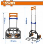 Coche de carga industrial resiste 100 kg