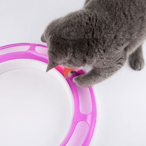 Juguete Para Gatos Circuito Armable