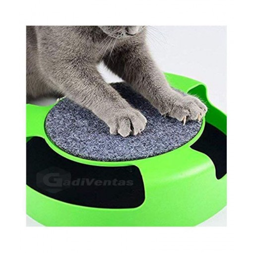 Juguete De Gato, Atrapa Al Ratón