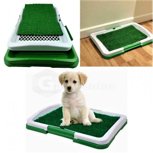 Alfombra De Césped Sintetico Para Entrenamiento De Mascotas