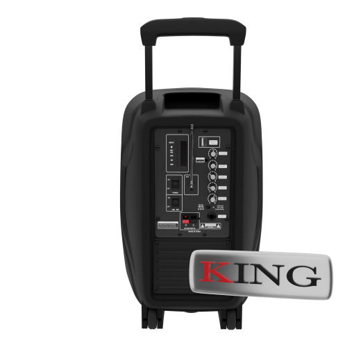 Caja Parlante Bluetooth Micrófono 10 Recargable Usb King