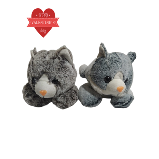 Peluche De Gato, San Valentín