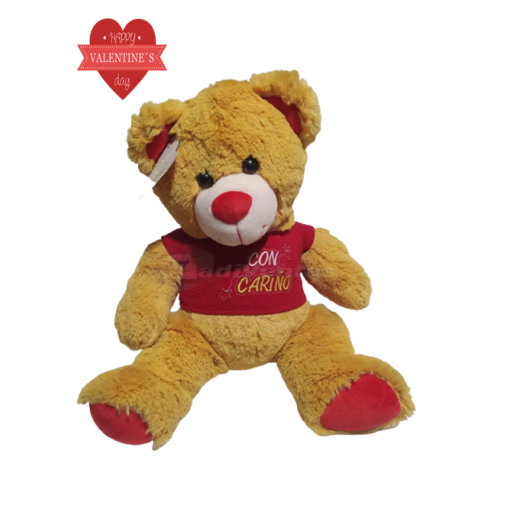 Peluche Modelo Oso Para Regalo San Valentin