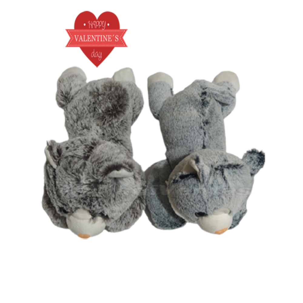 Peluche De Gato, San Valentín